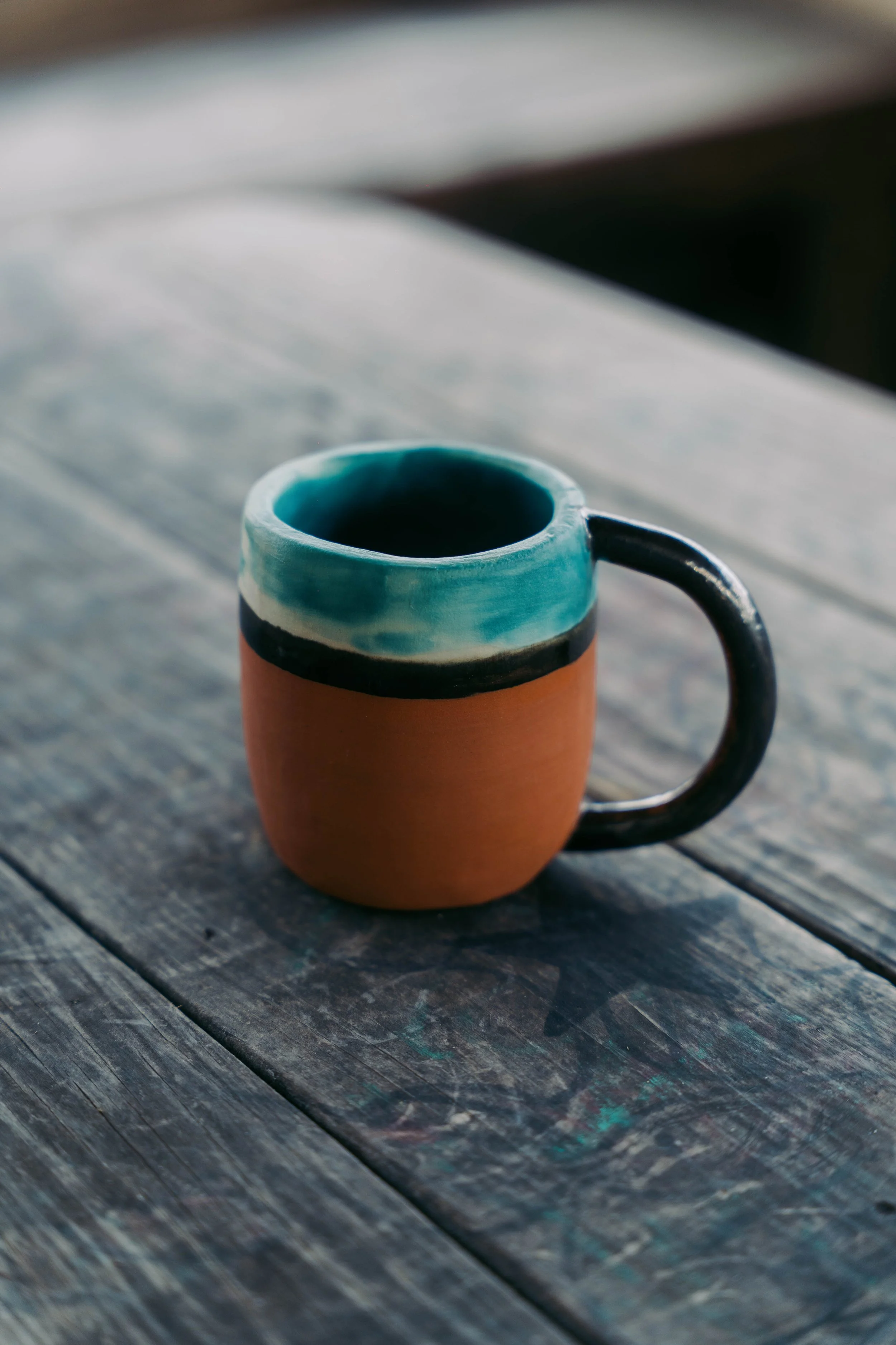 _A735110.jpg