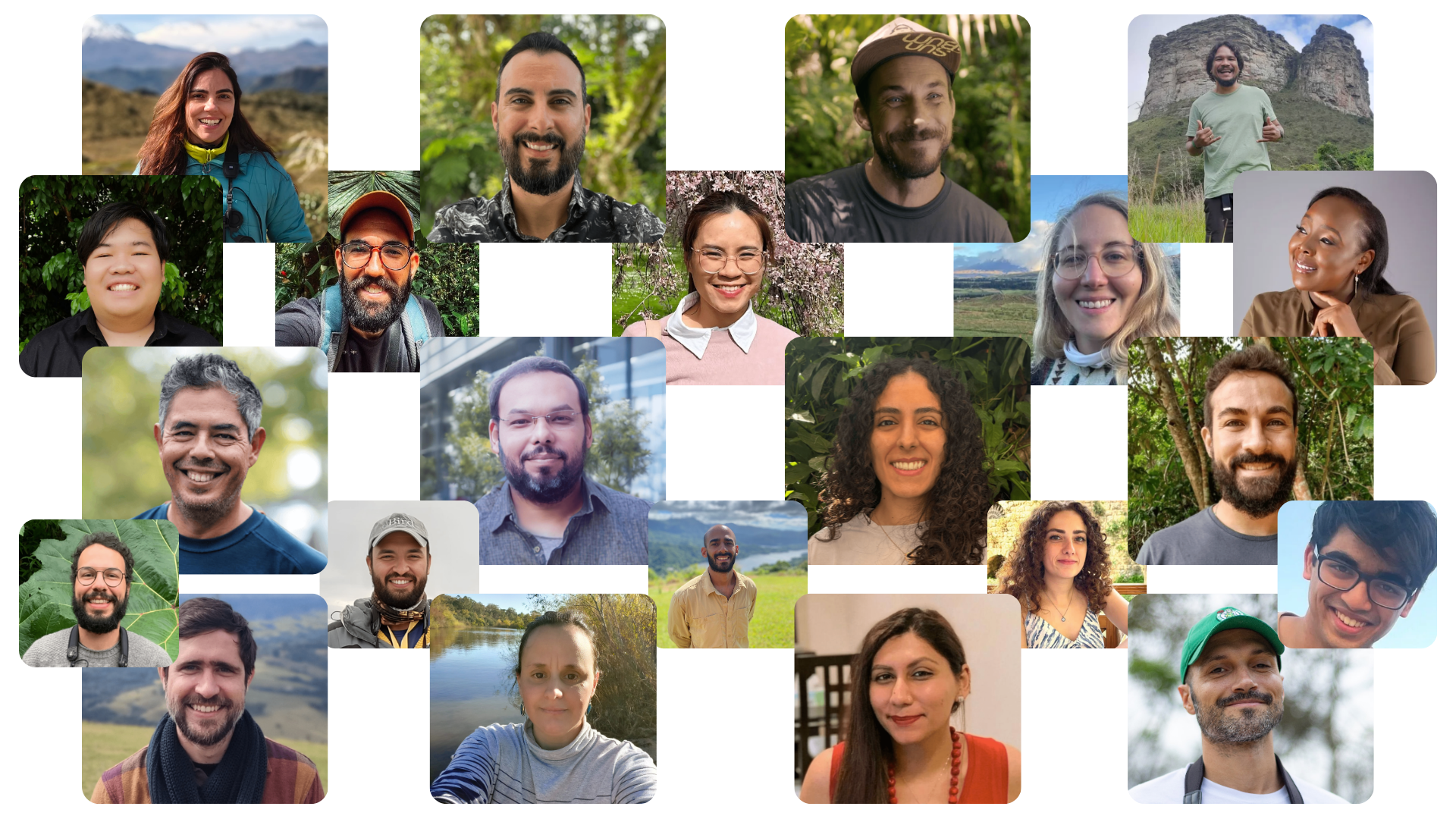 Collage of our scientists and ecologists