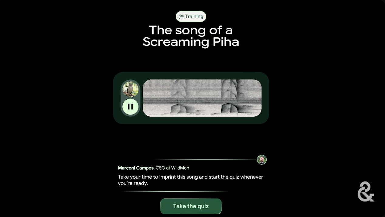 forest listeners 2.png
