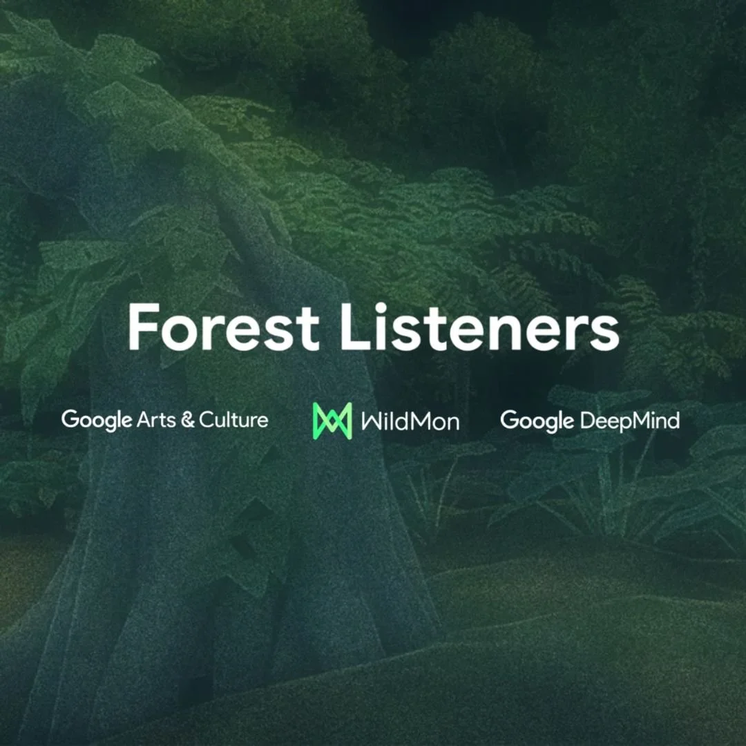 Launch of Forest Listeners in partnership with Google Arts &amp; Culture and Google DeepMind