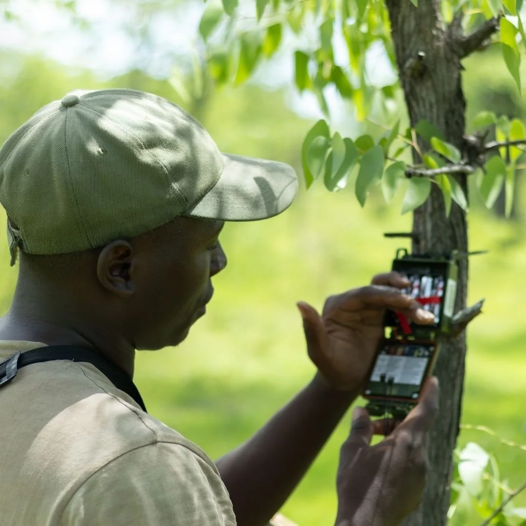 Paradigms and Principles for Integrating Nature Technology Data: Challenges, Opportunities, and Next Steps in Real-World Biodiversity Monitoring