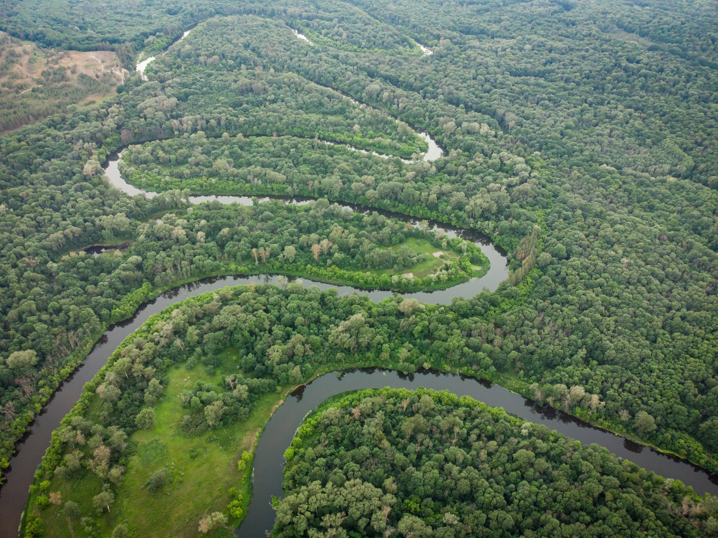 WildMon joins Amazon.ia to advance biodiversity intelligence across the Amazon