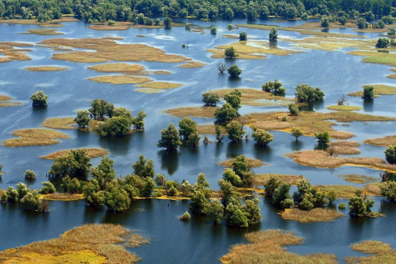 Scientists Turn 4.4 Million Minutes of Sound Into a New Picture of Life in Croatia’s Iconic Wetland
