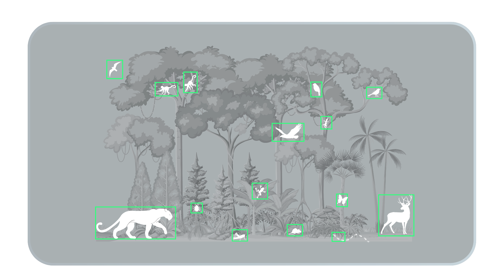 diverse species identification