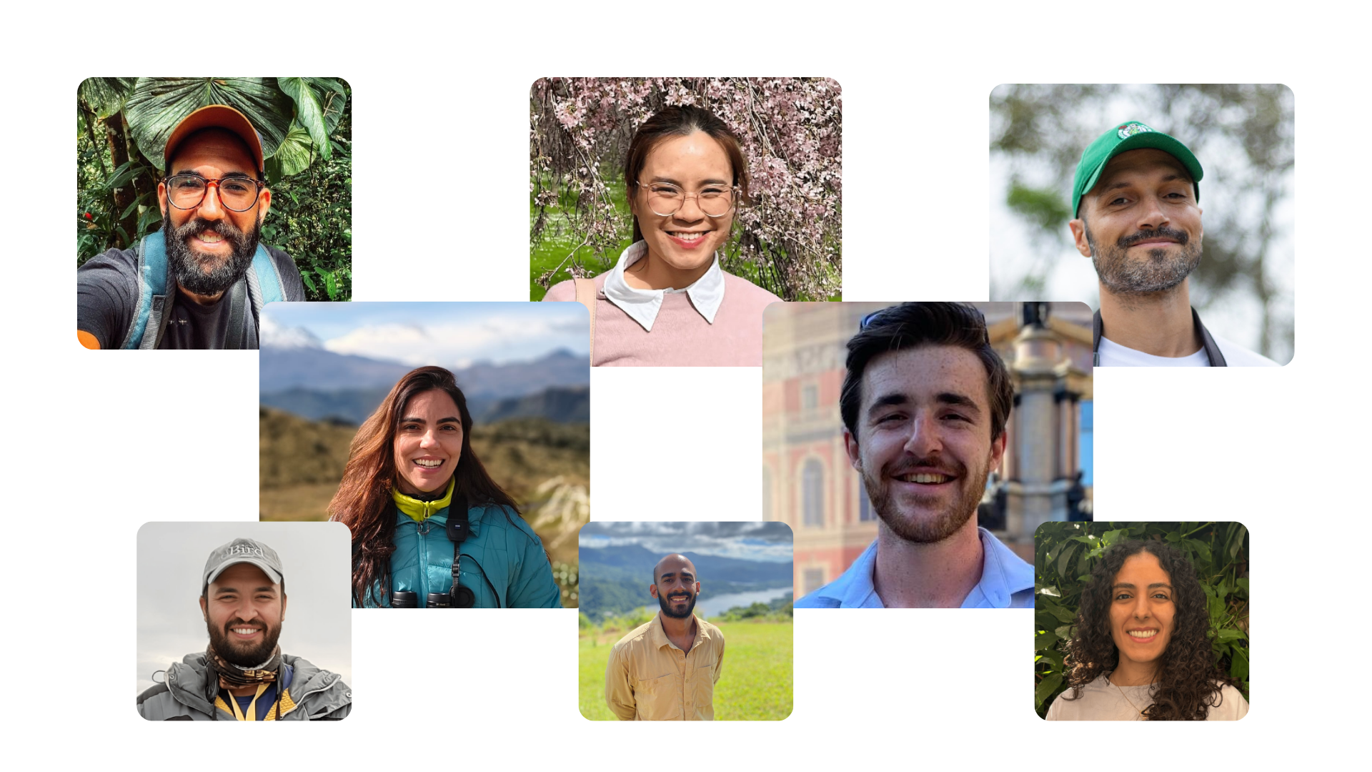 Our global team