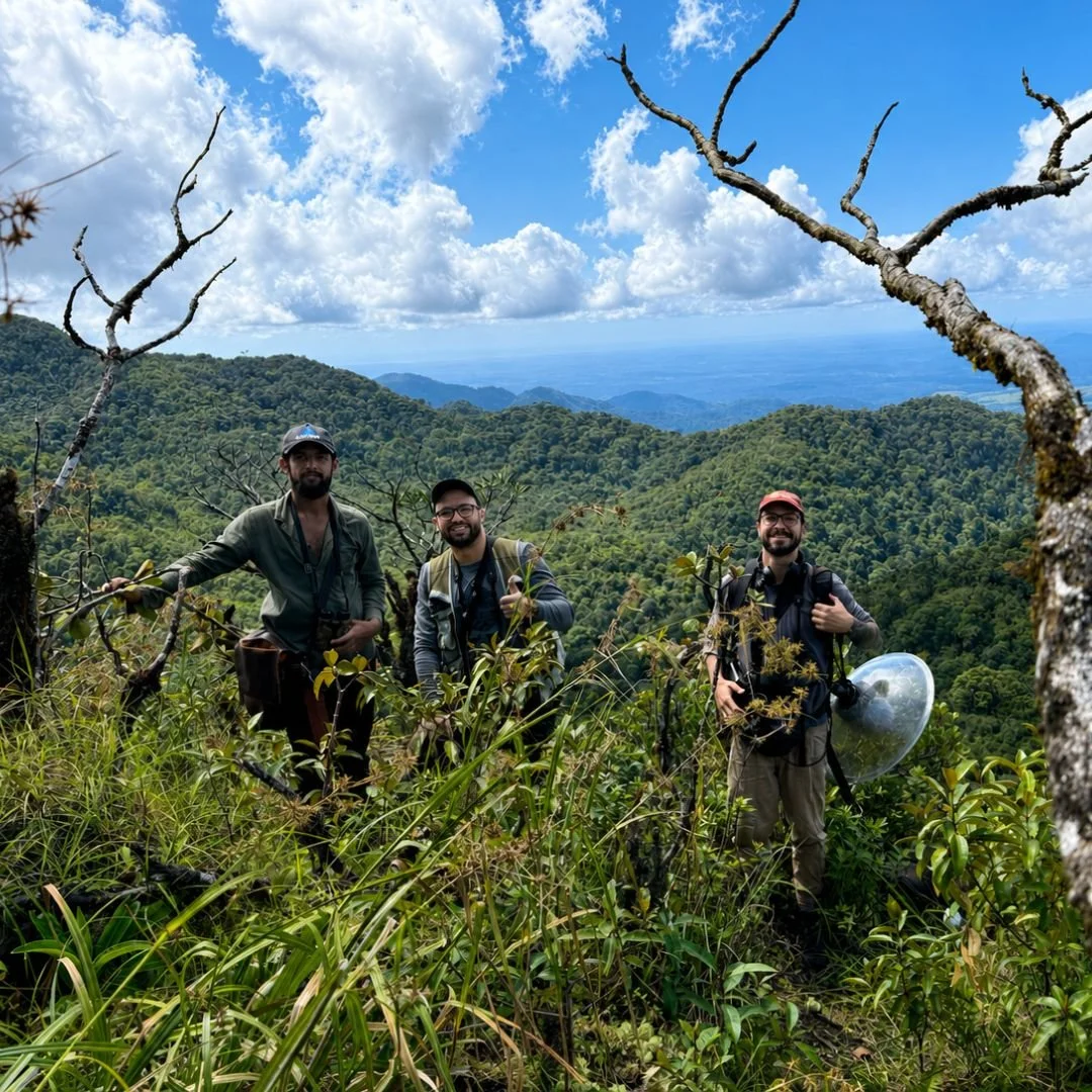 Team in field