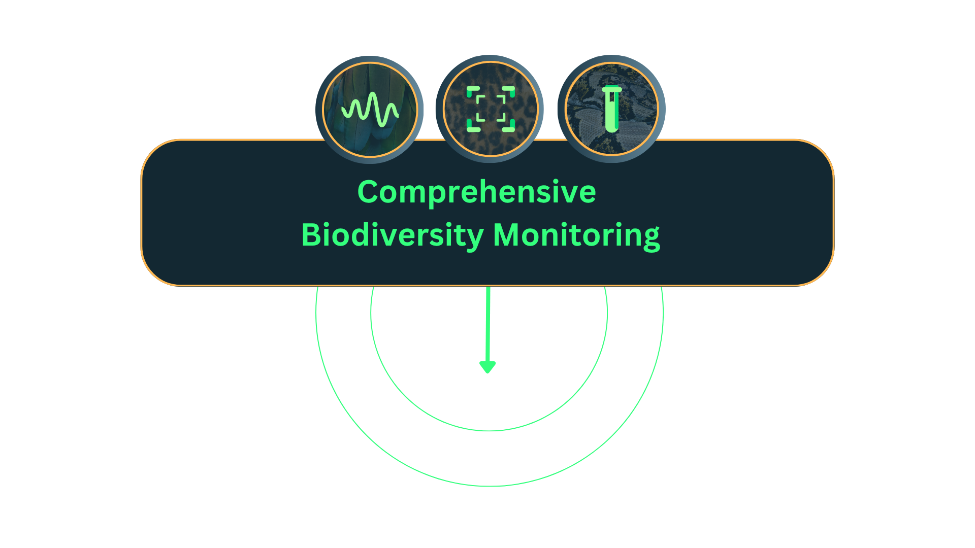 Comprehensive biodiversity monitoring