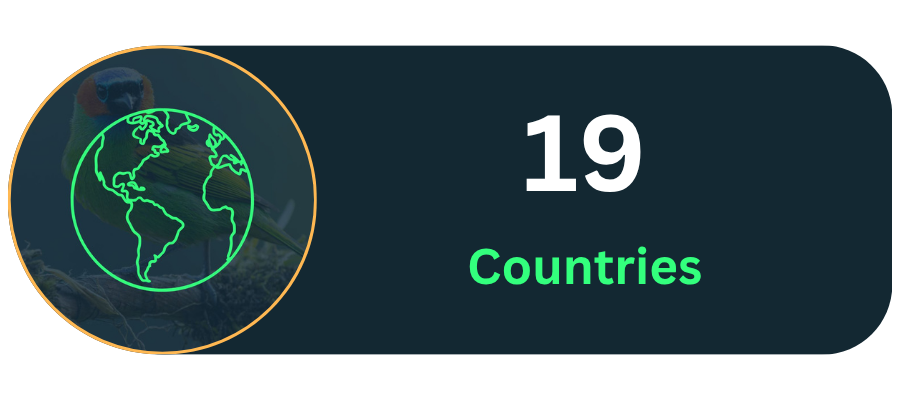 19 Countries
