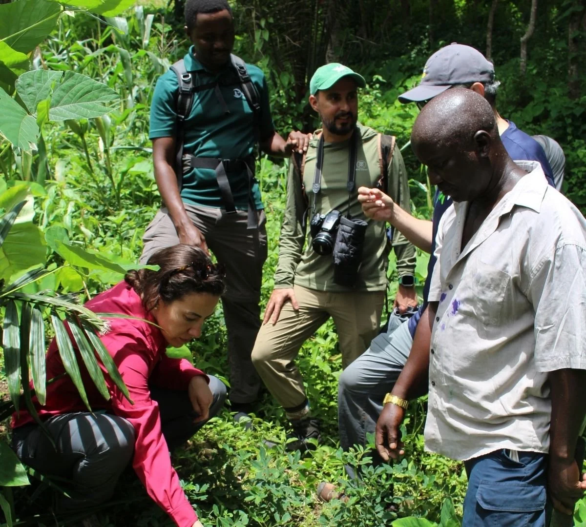 local community work