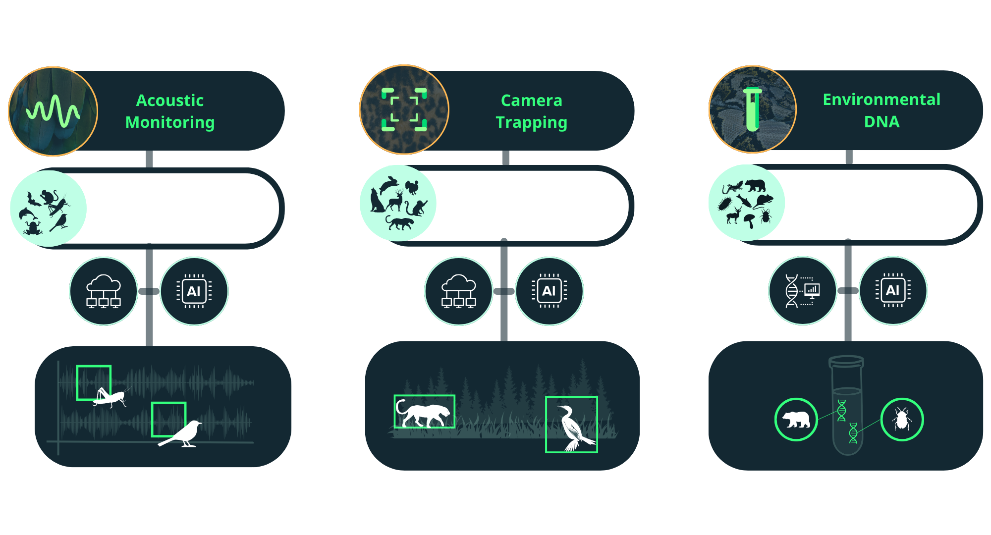 multi-source biodiversity data