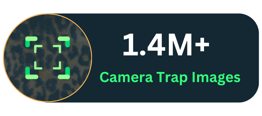 1.4 Million Camera Trap Images