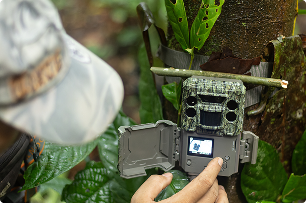 camera trap close up