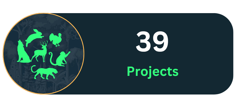 39 Projects