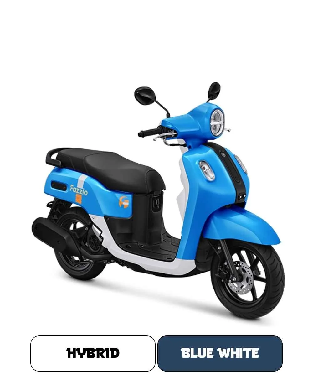 Blue White.jpg