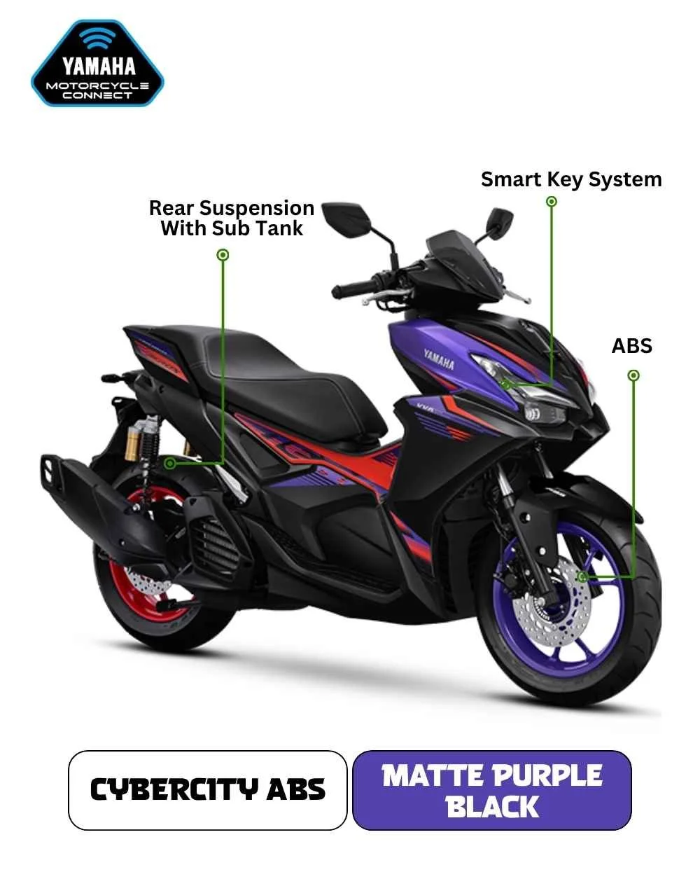 Matte Purple Black.jpg