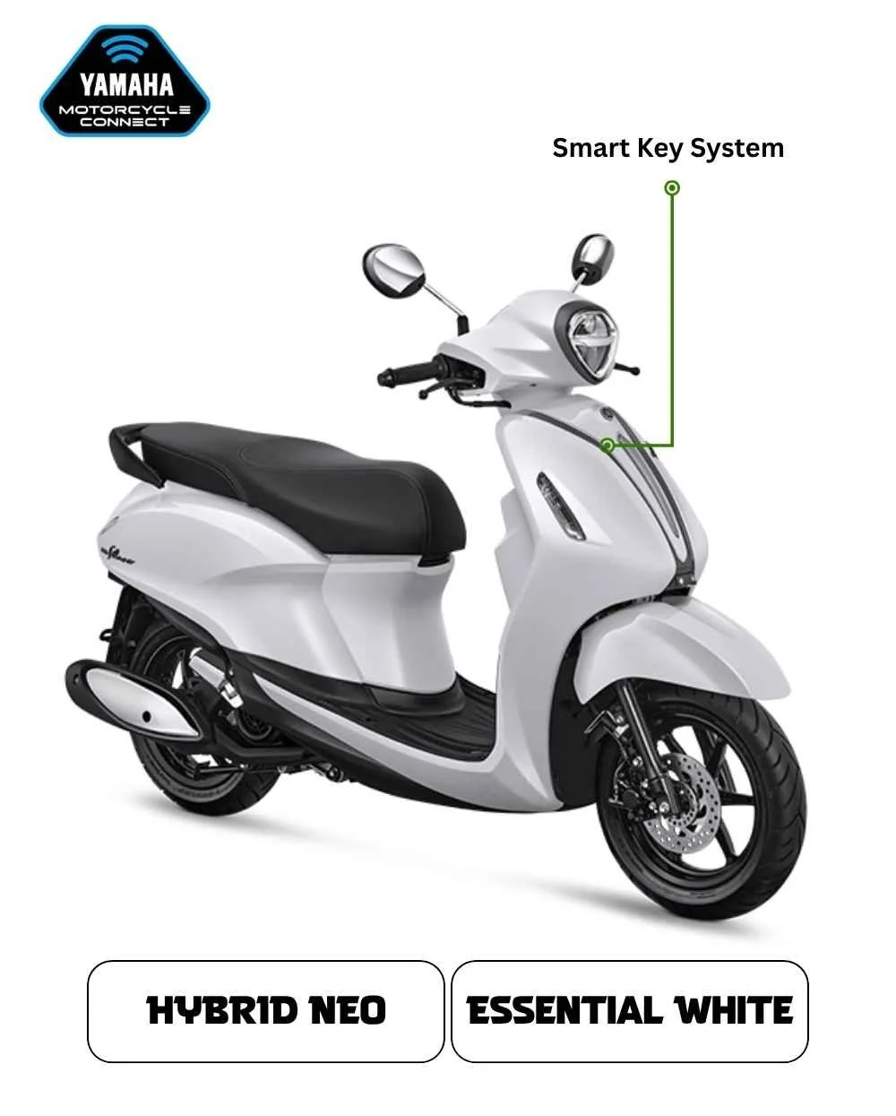 Essential White.jpg