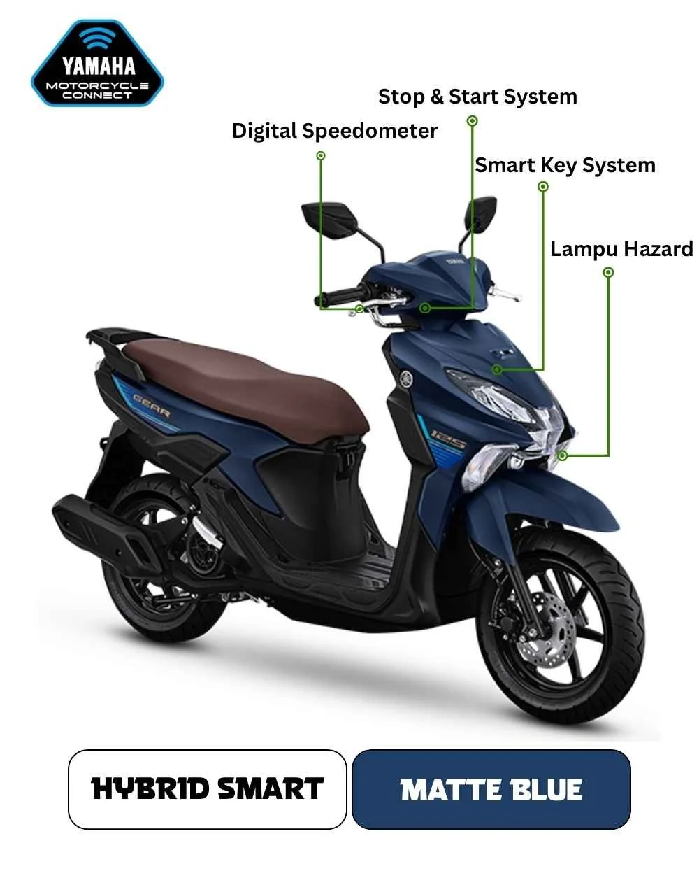 Matte Blue.jpg