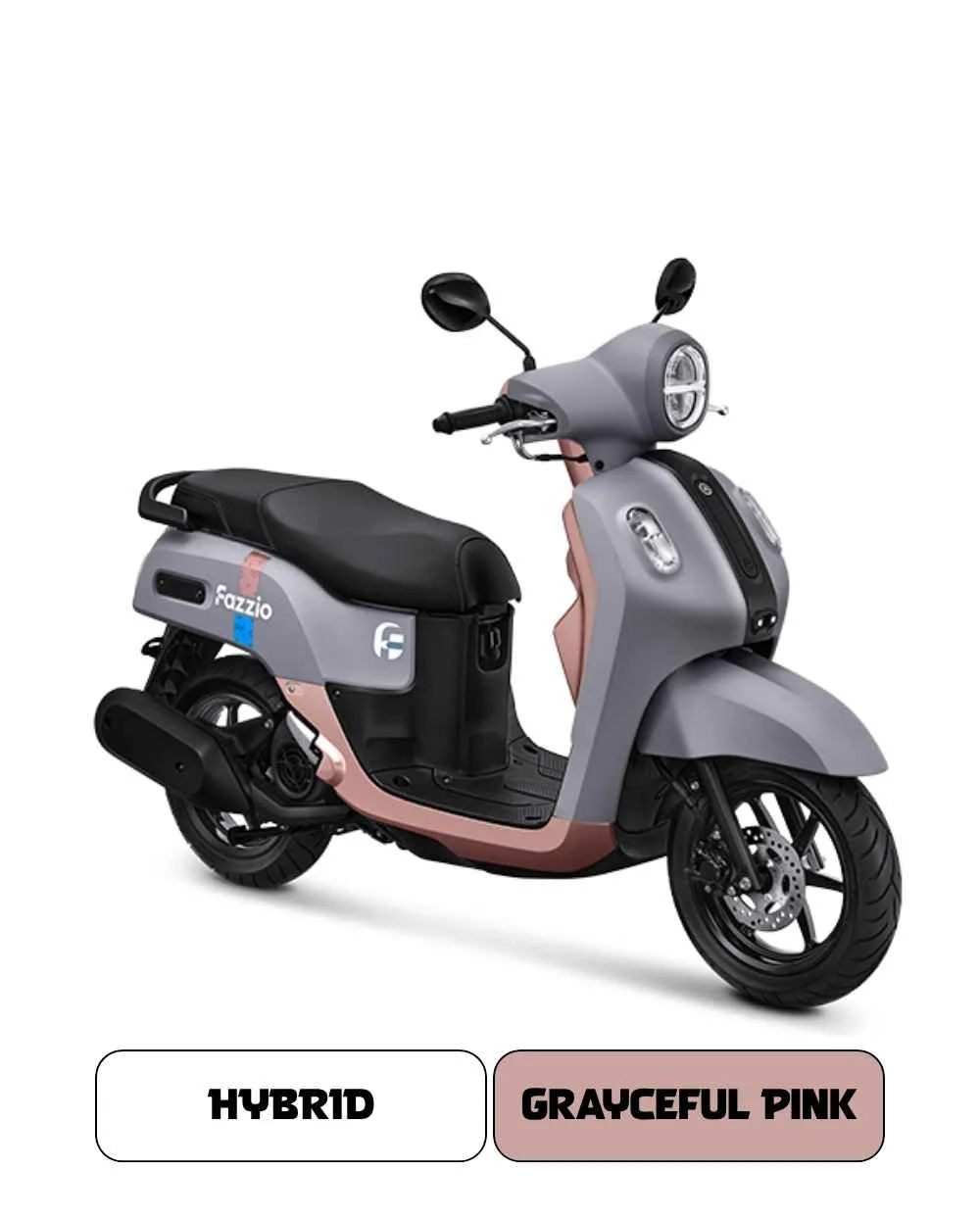 Grayceful Pink.jpg
