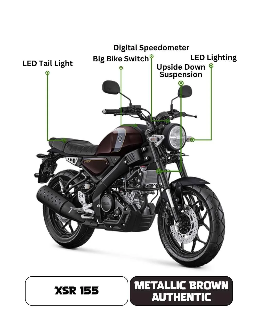 Metallic Brown Authentic.jpg