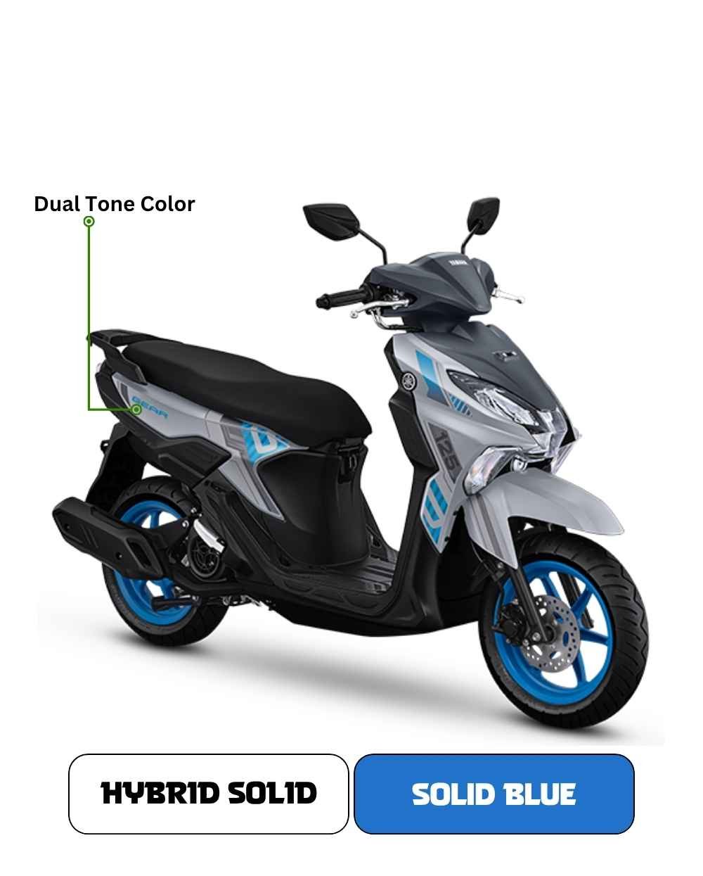 Solid Blue.jpg