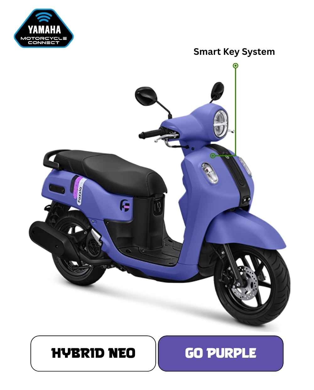 Go Purple.jpg