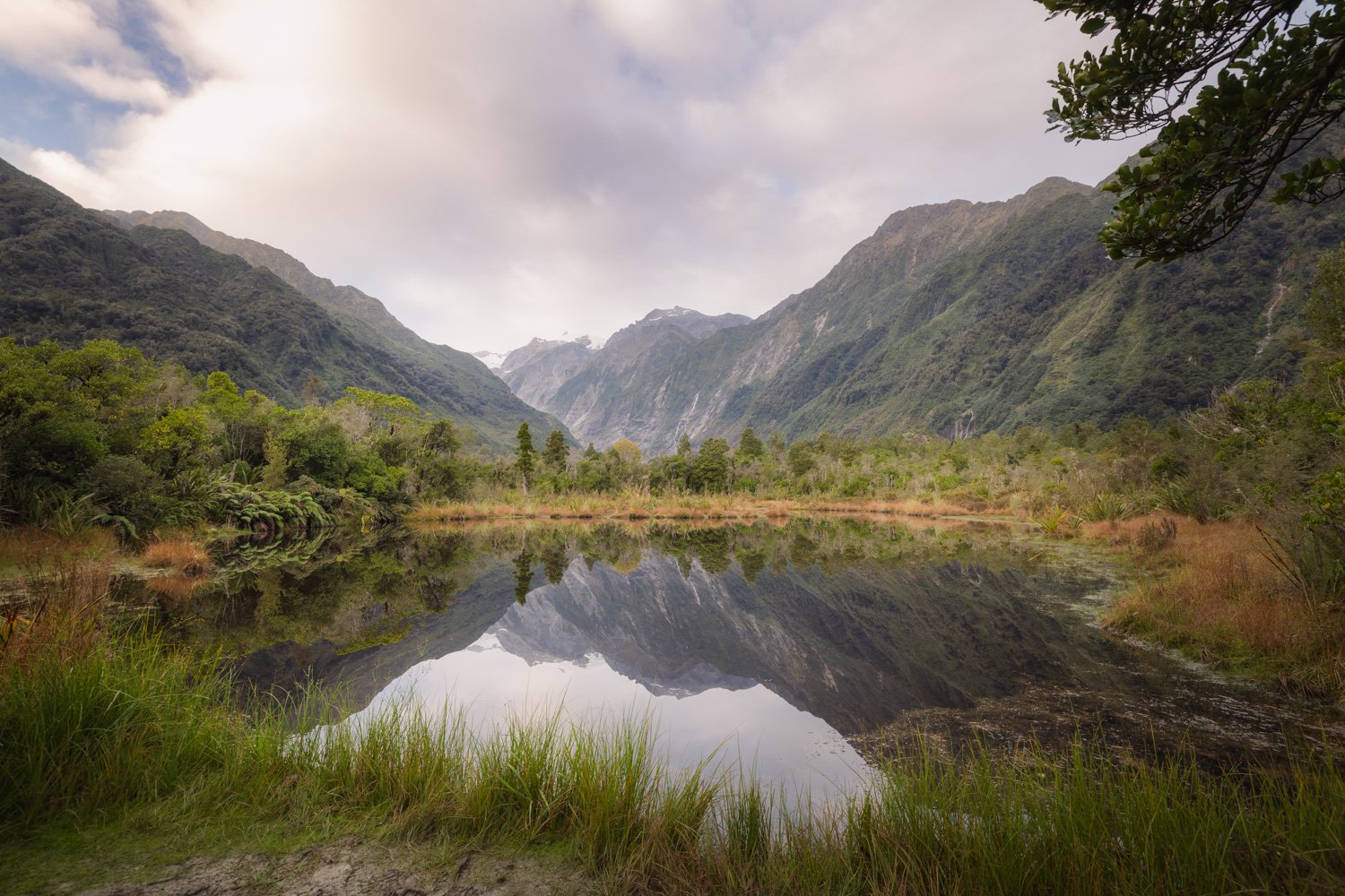 Franz Josef Mirror (Landscape)