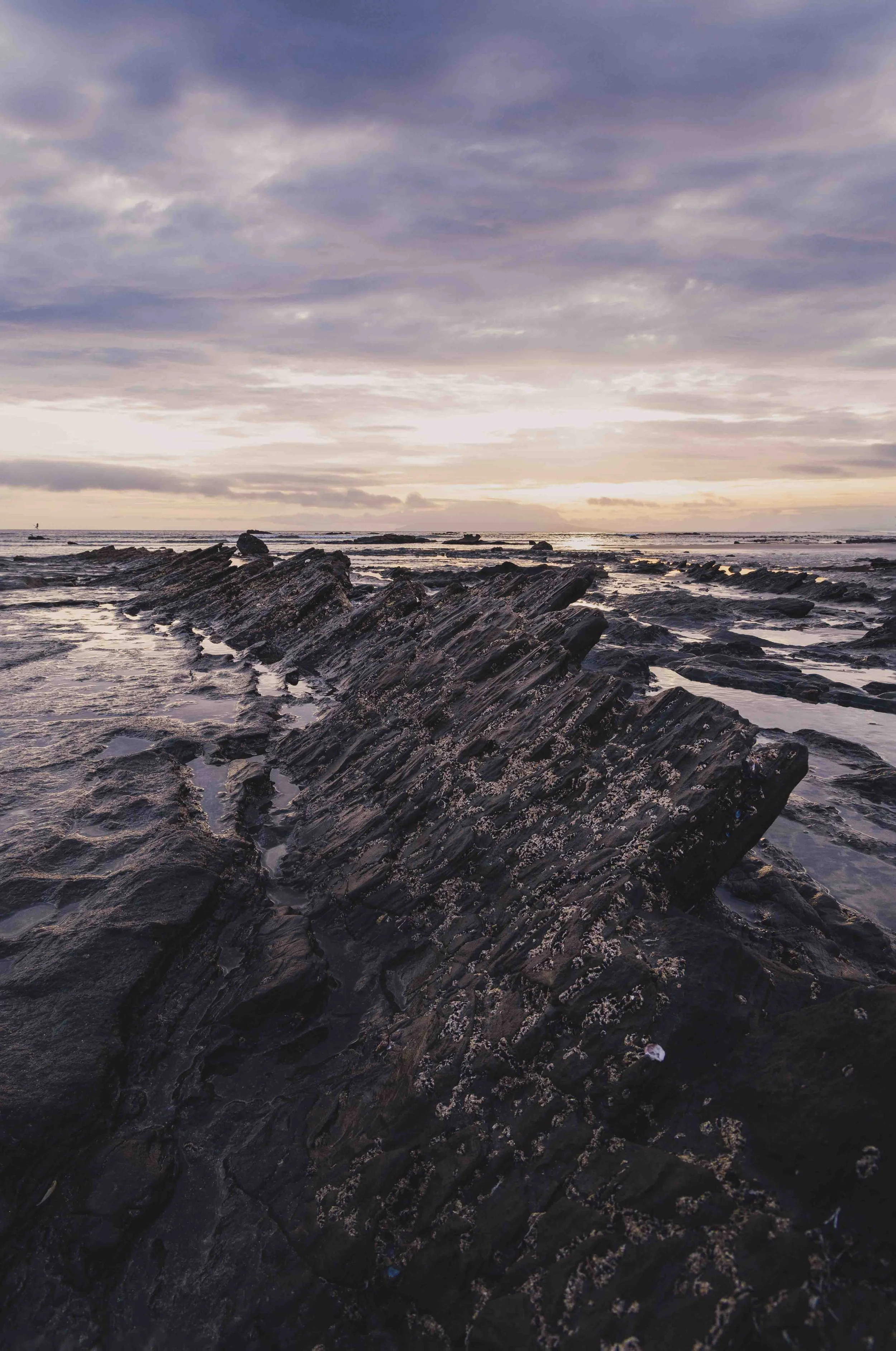 tawharanui-9.jpg