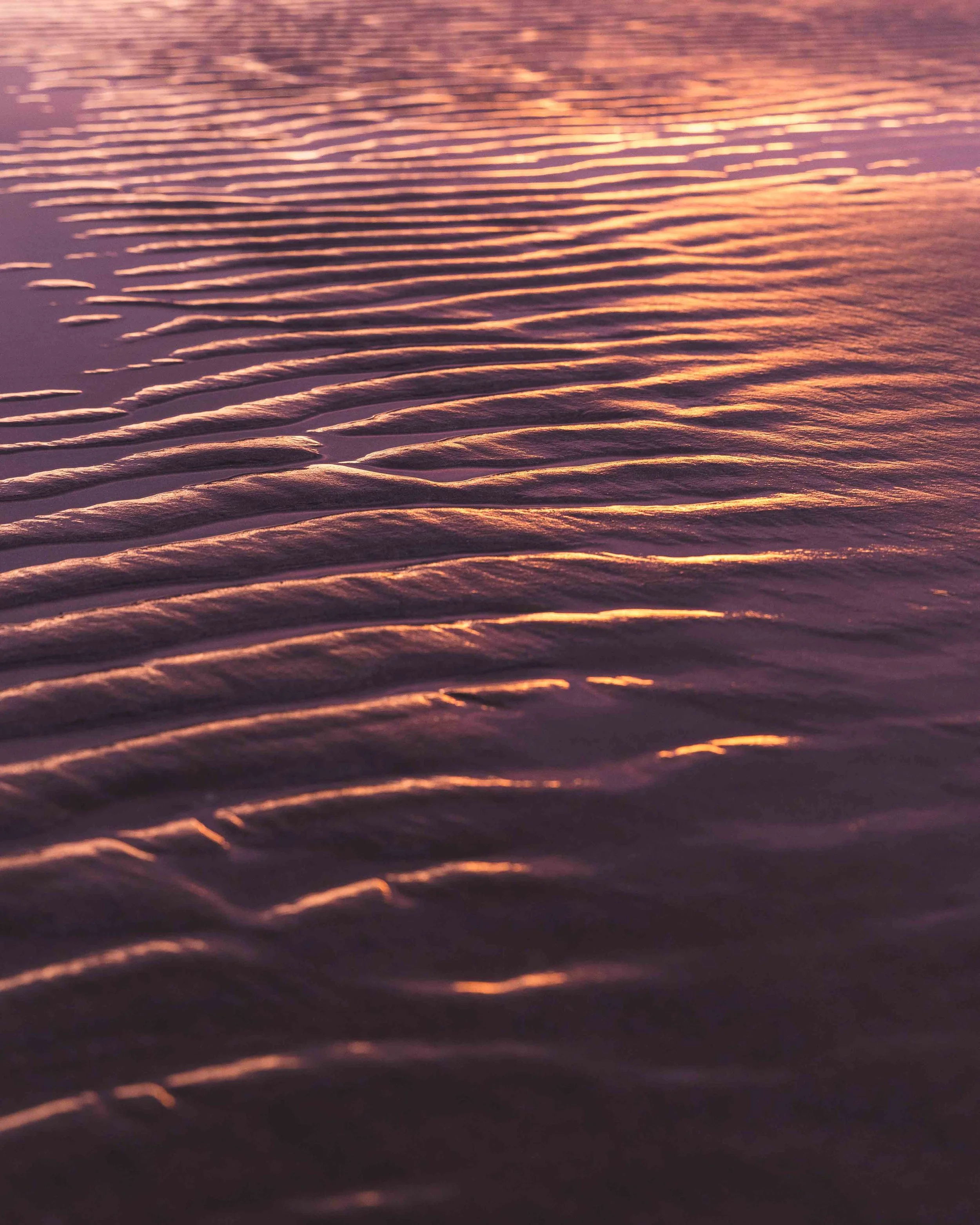 tawharanui-5.jpg