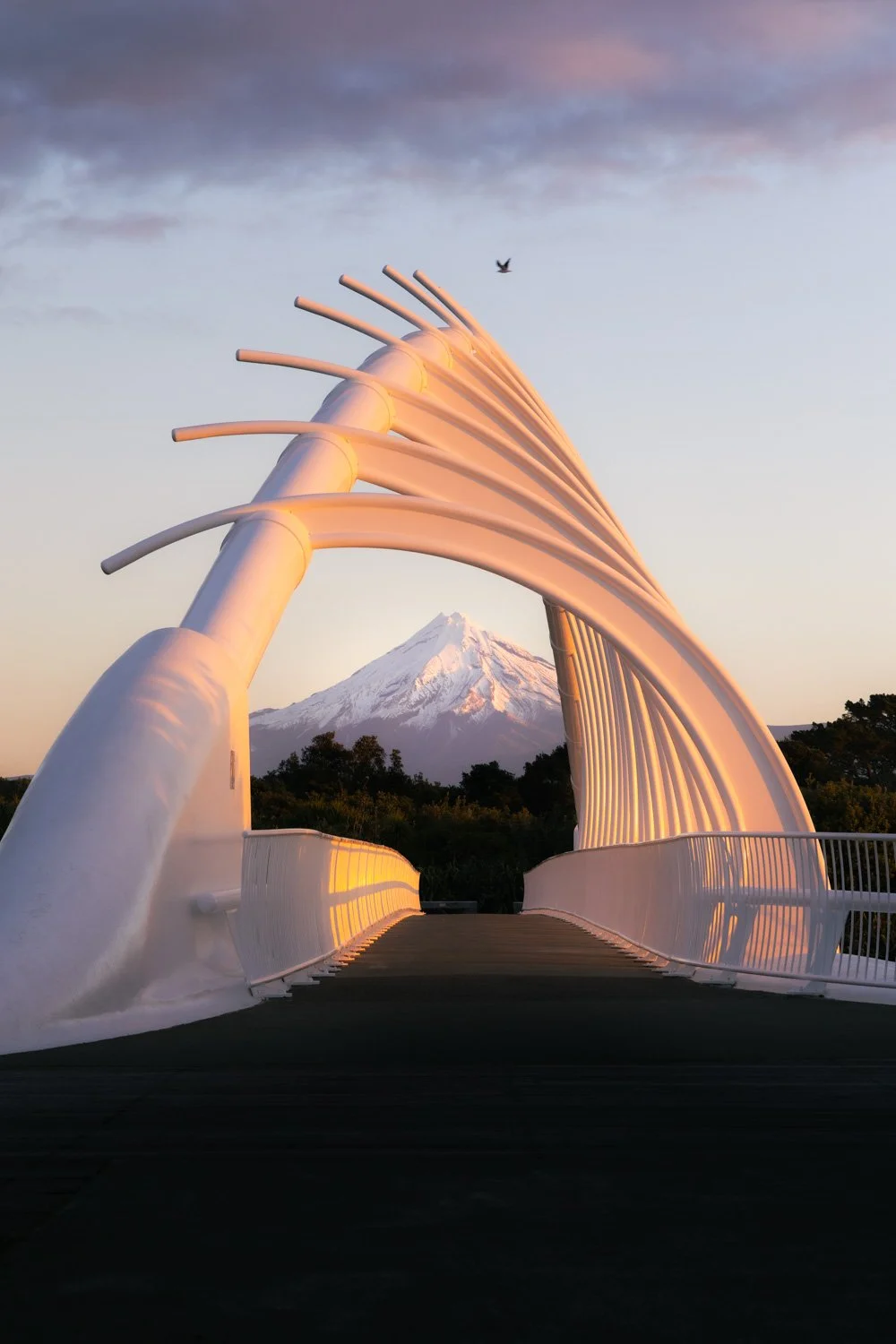Passage to Taranaki (Portrait)