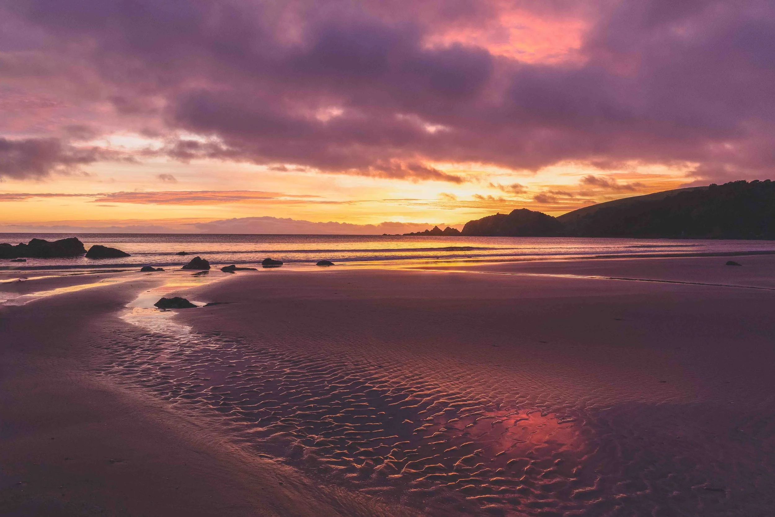 tawharanui-4.jpg