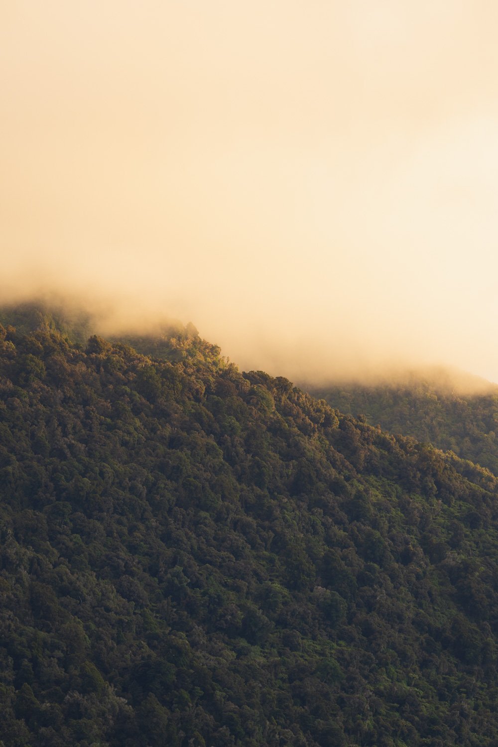Misty Dusk - Lake Brunner (Portrait)