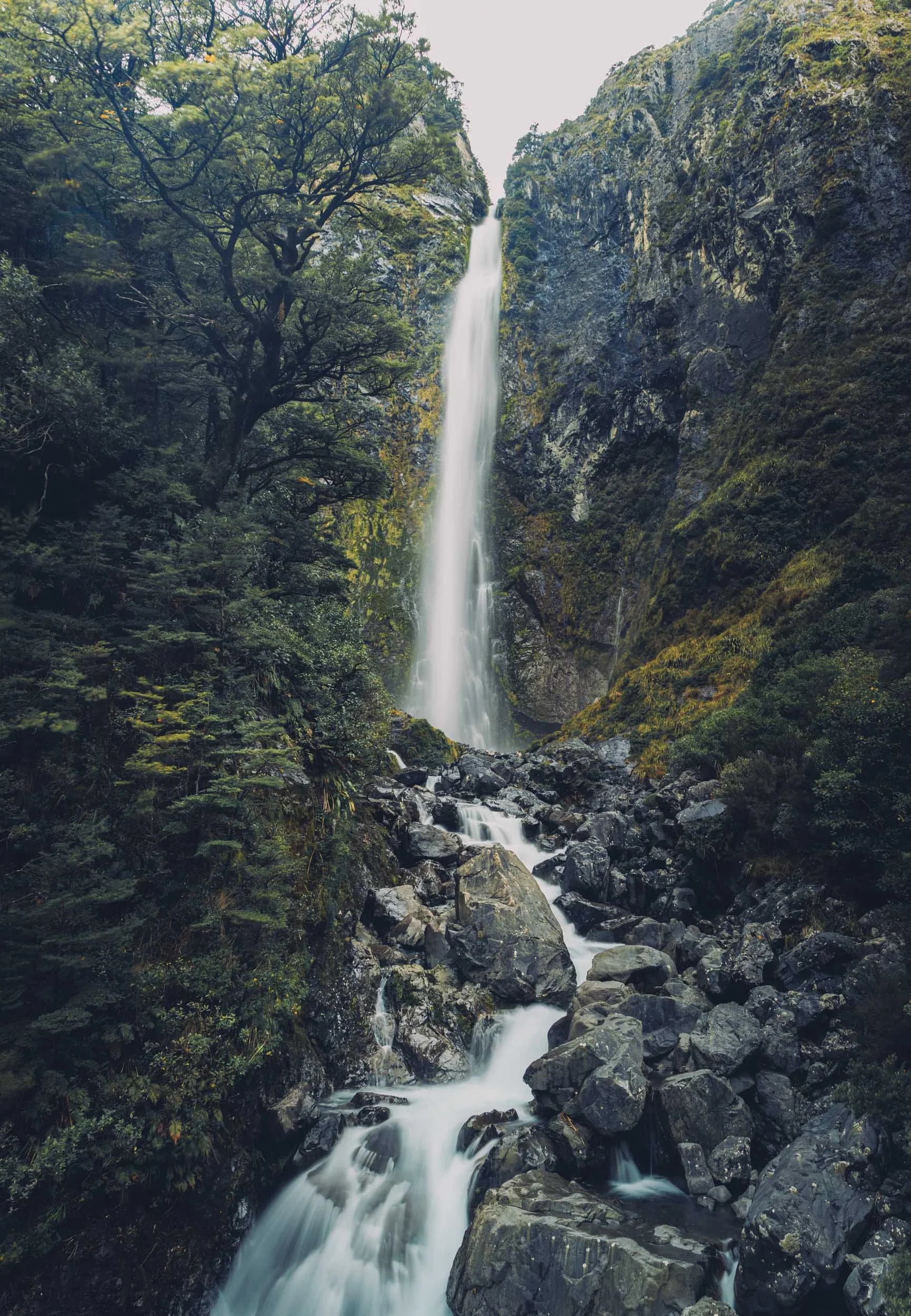 devils-punchball-fall-2.jpg