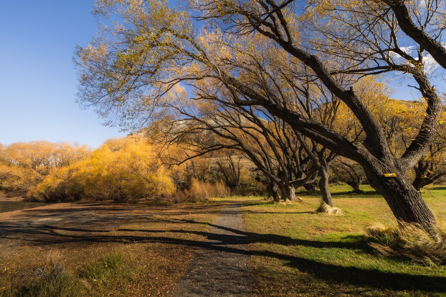 Autumn at Lake Pearson