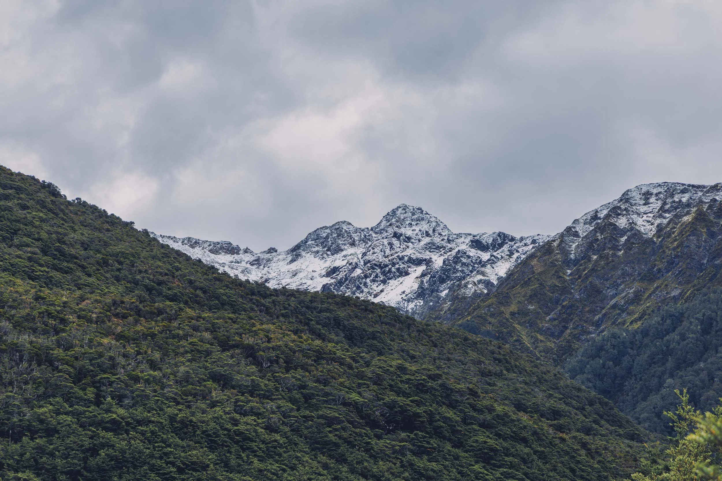 arthurs-pass-sh73-1.jpg