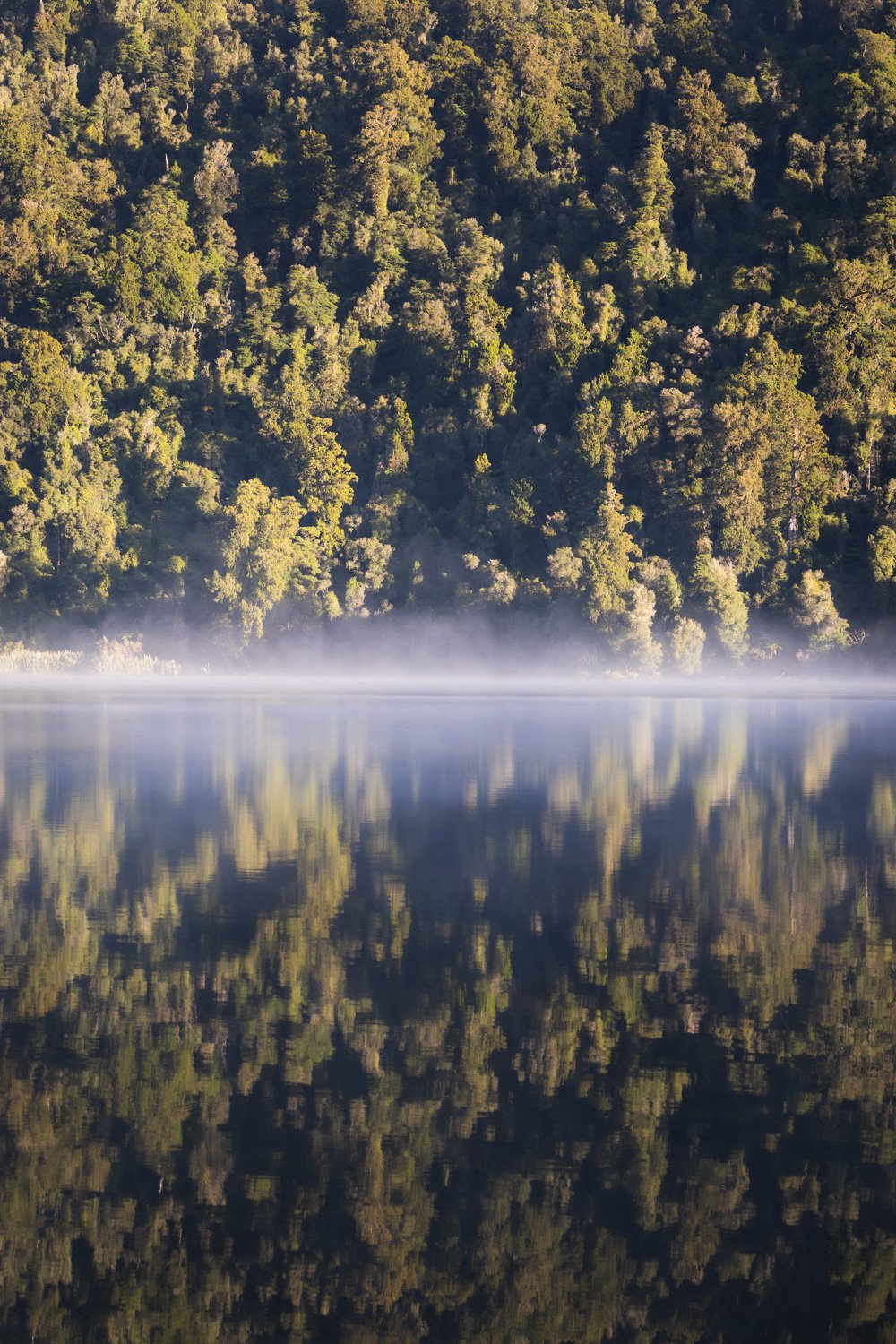 stillness-of-lake-mapourika-portrait.jpg