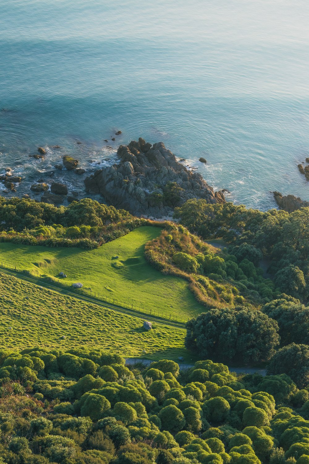 Rugged Coastline (Portrait)