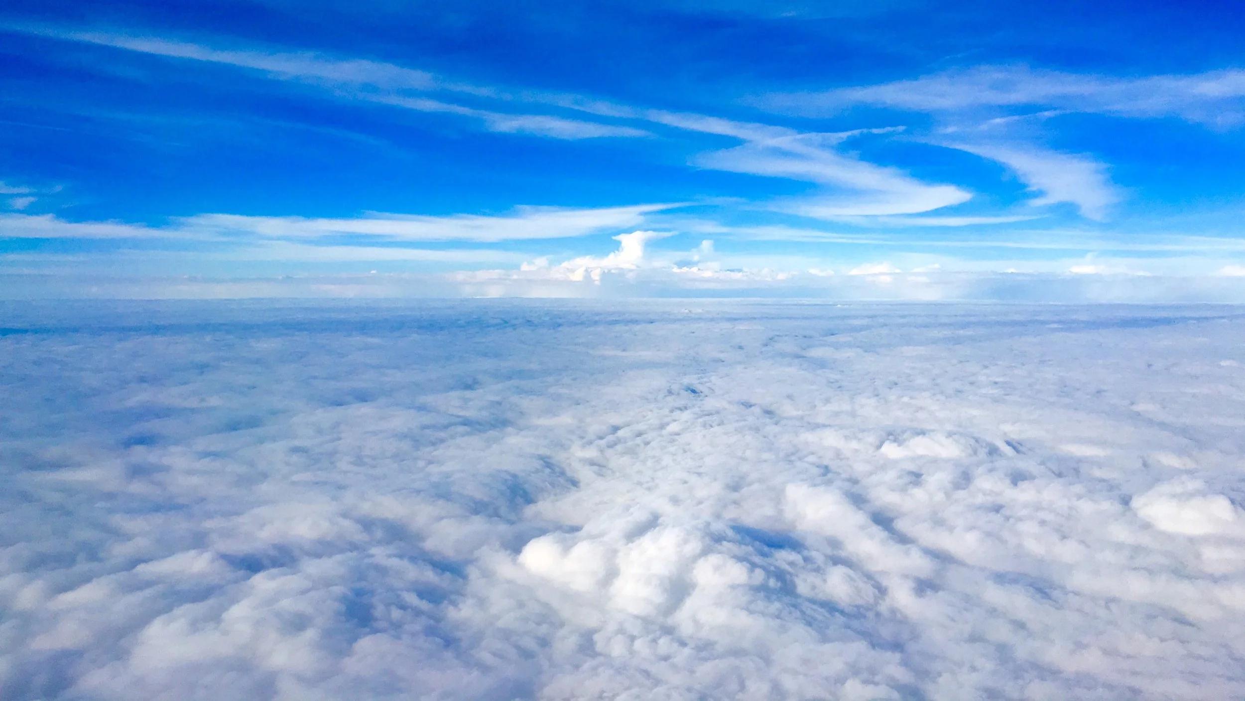 25753298274_c16a94e787_o.jpg