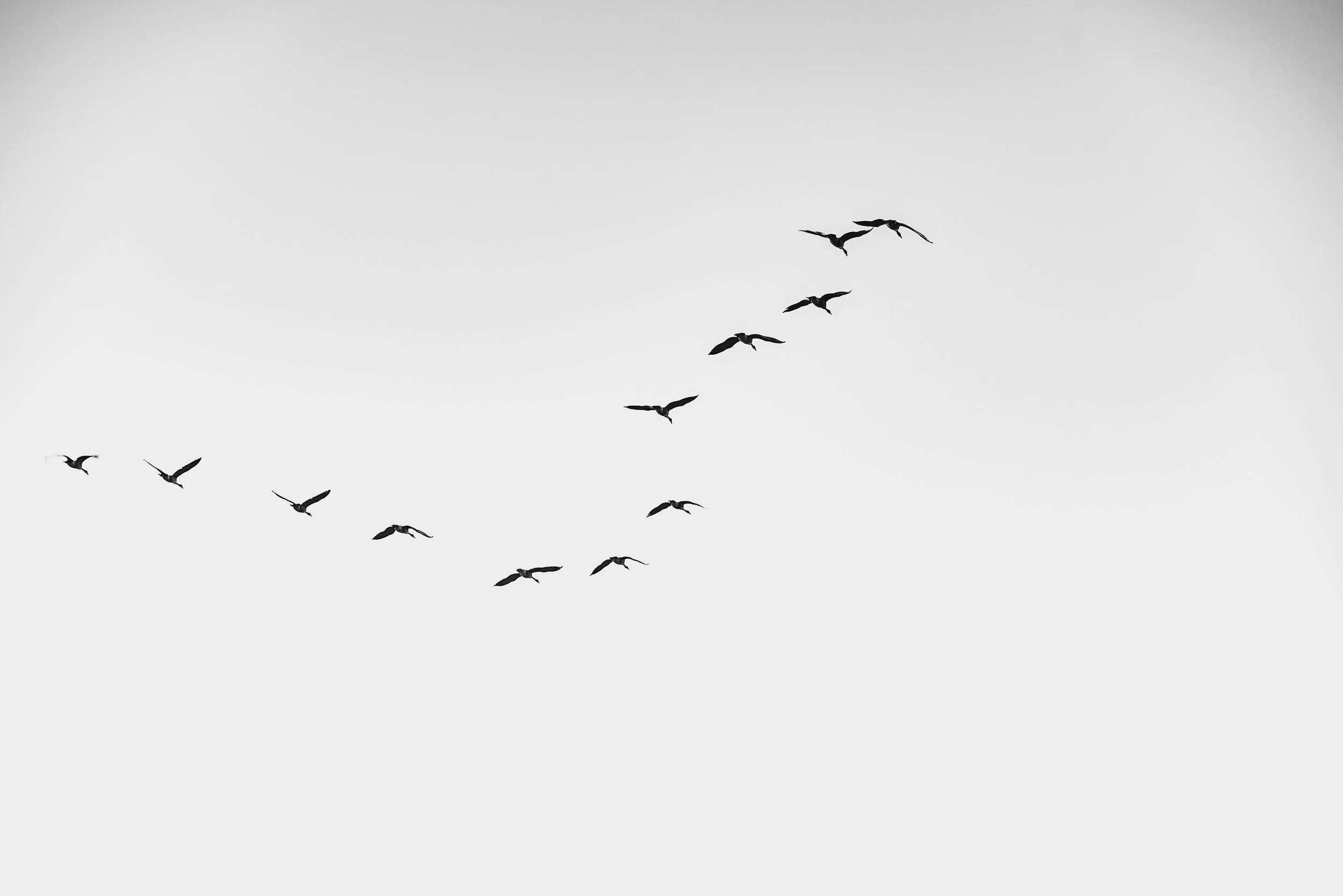 45297639634_a6459d3337_o.jpg