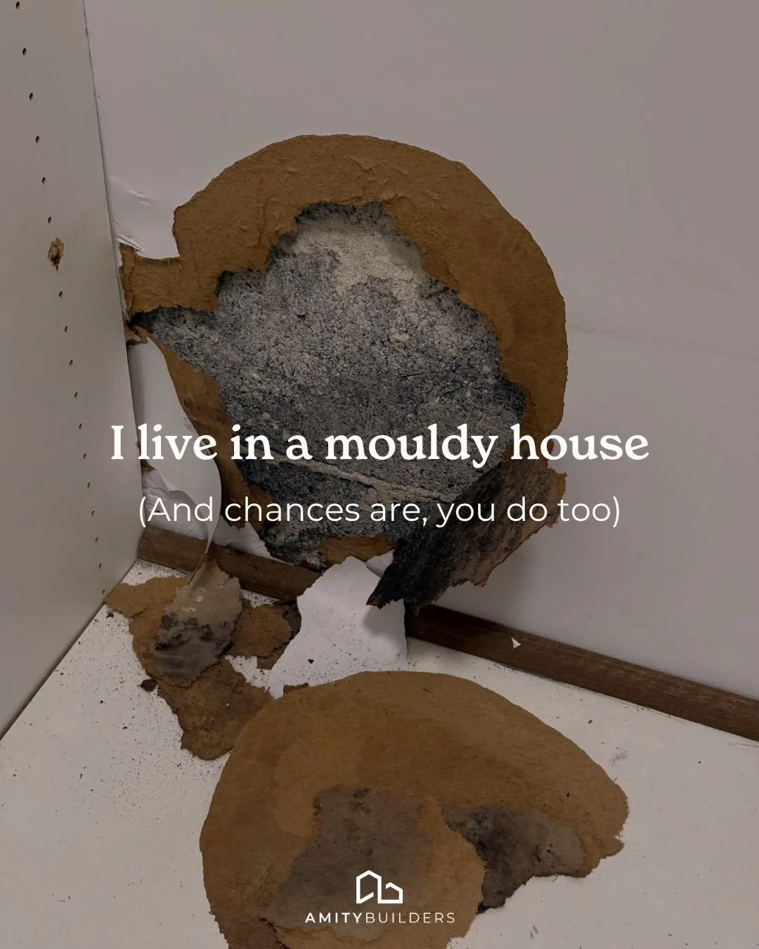The moment we started demoing the wardrobe, there it was. 

Black mould, living inside the wall cavity. But that&rsquo;s no surprise, seeing how 50% of Aussies have reported mould or dampness in their home. 

We&rsquo;ve cleaned visible mould off the