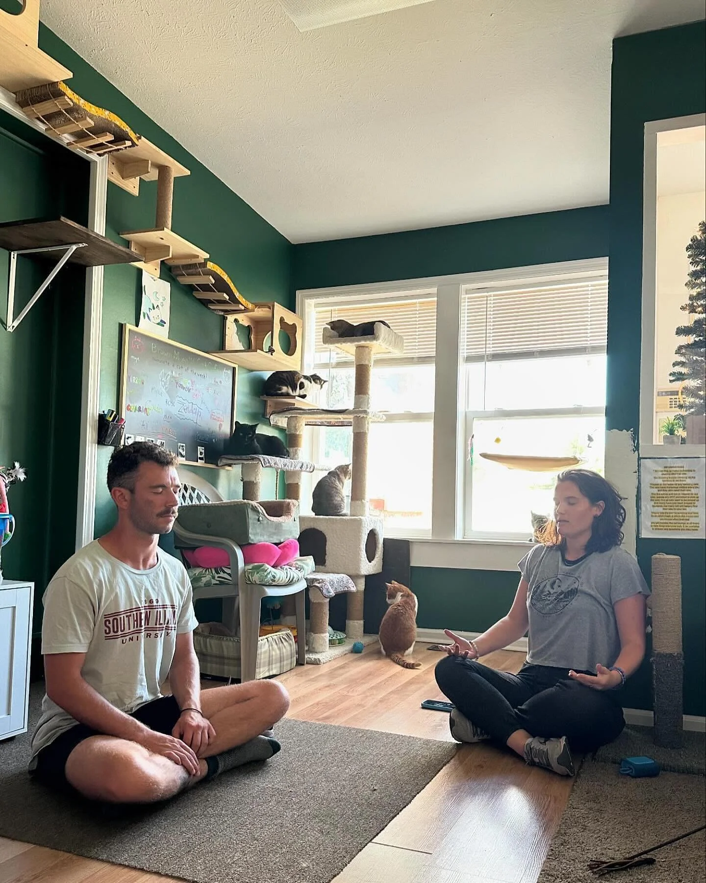 🐱🌀 did you know I offer cat yoga? 🌀🐱

I&rsquo;ve been collaborating this year with @btownmeow to create gentle stretch and meditation classes with kitties 🐈&zwj;⬛ lovingly called

🐾 paws &amp; peace 🐾

In addition to being a singing yogi, I am