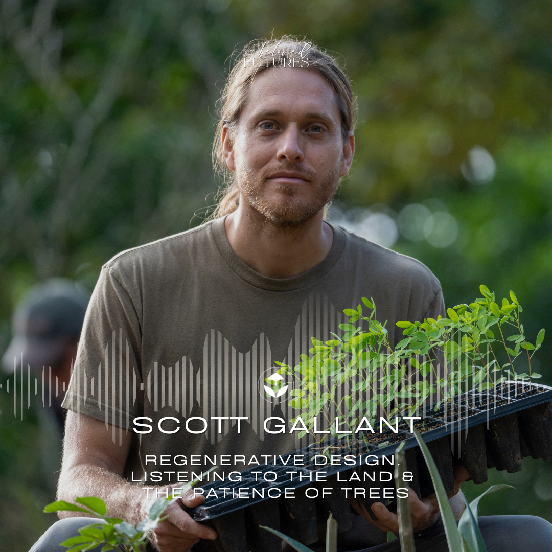 S2 E24 | Scott Gallant – Regenerative Design, Listening to the Land &amp; the Patience of Trees