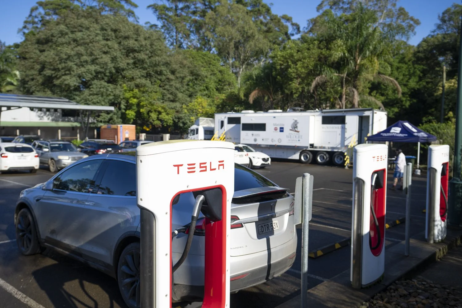 Byron Bay Wildlife Sanctuary Tesla Super Charger