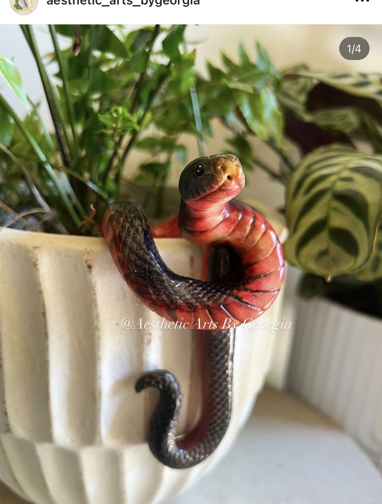 Red Belly Black Snake, potted plant hanger by Aesthetic Arts by Georgia