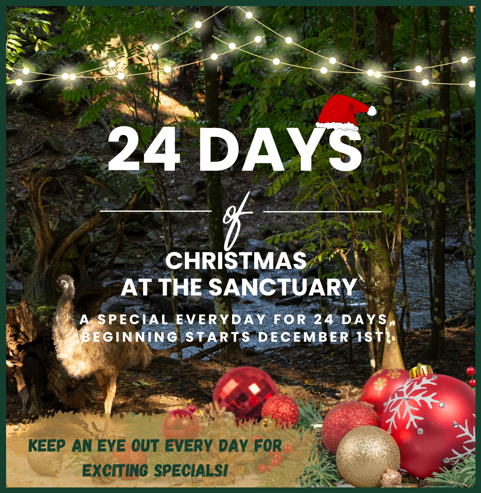 24 Days of Christmas Begins!