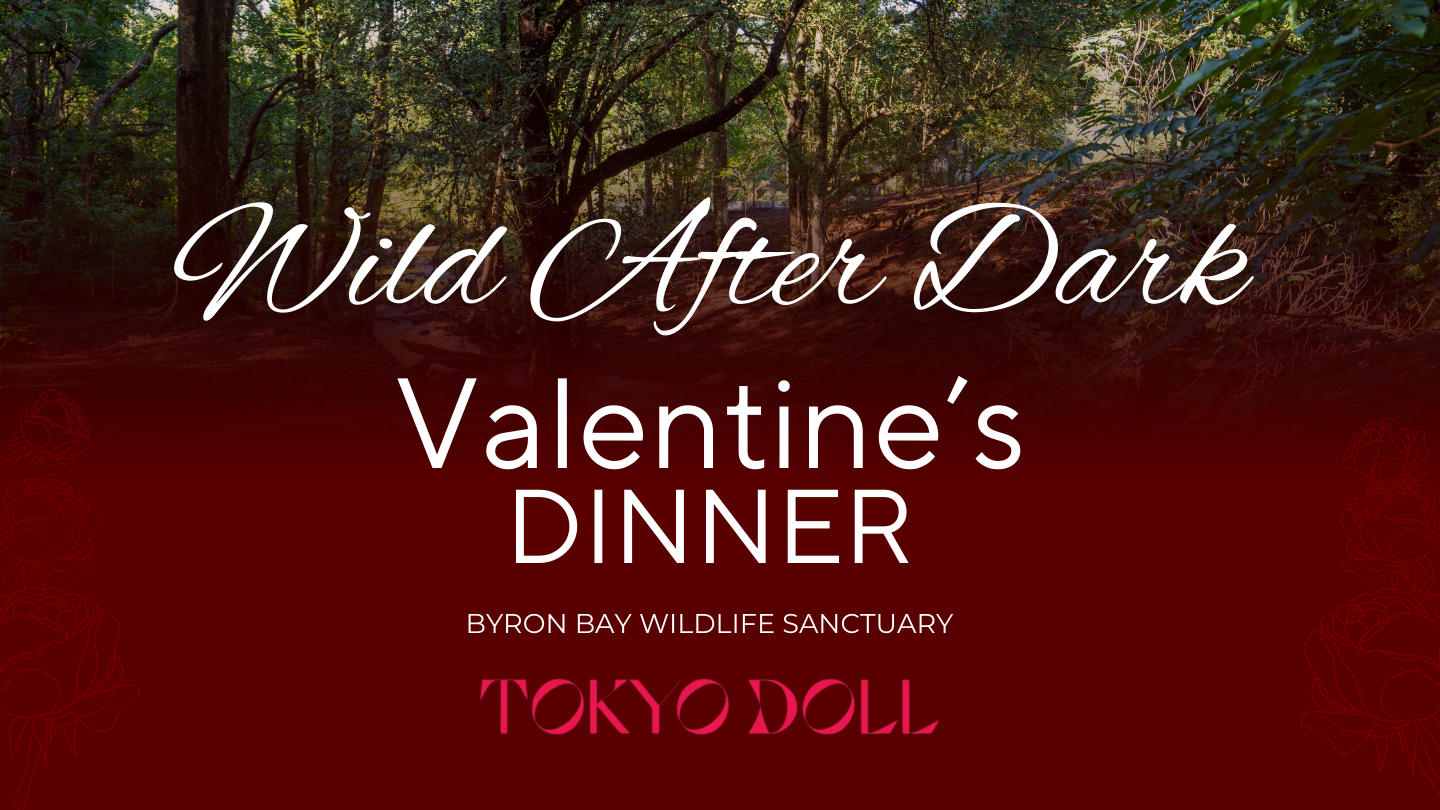 Wild After Dark - Valentine's Dinner