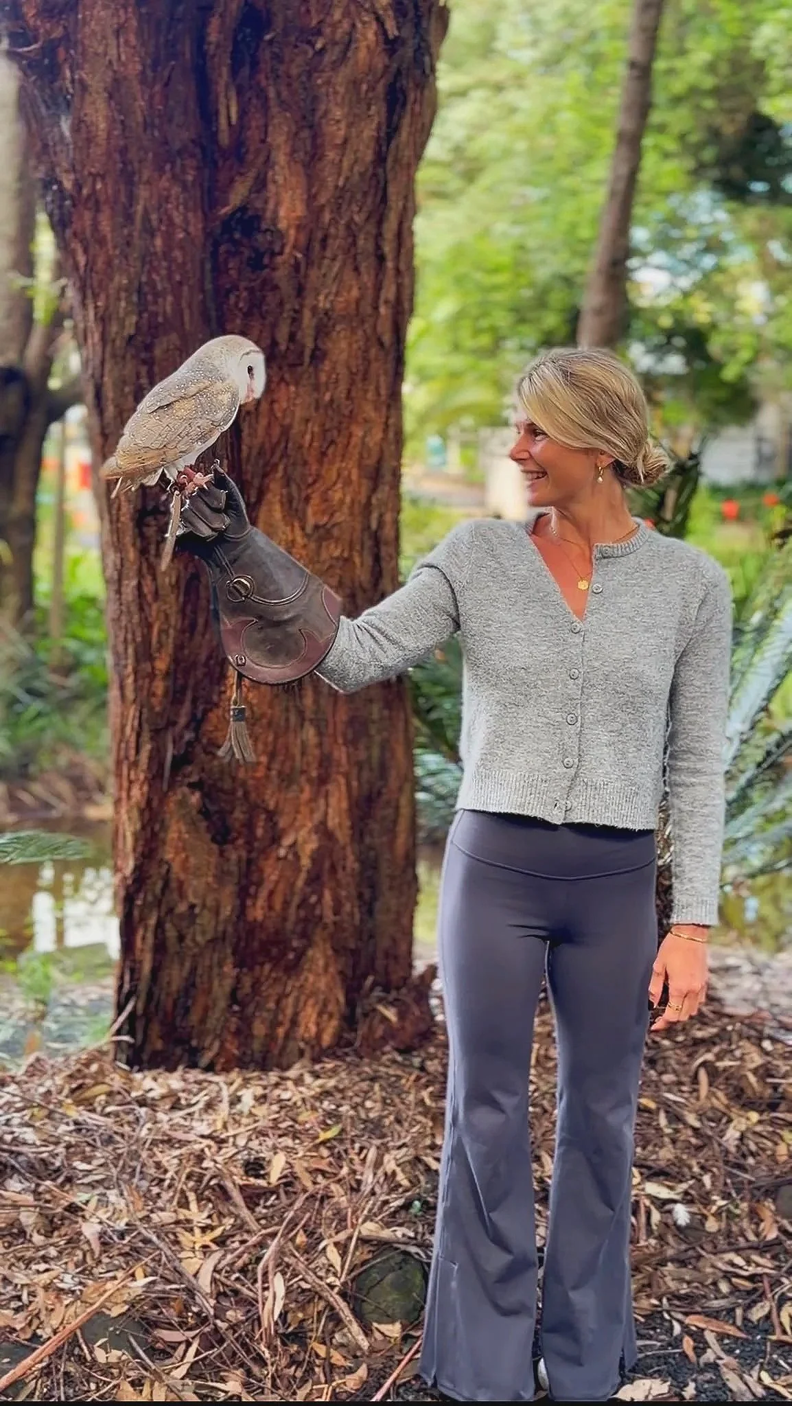Owl Experience at The Byron Bay Wildlife Sanctuary