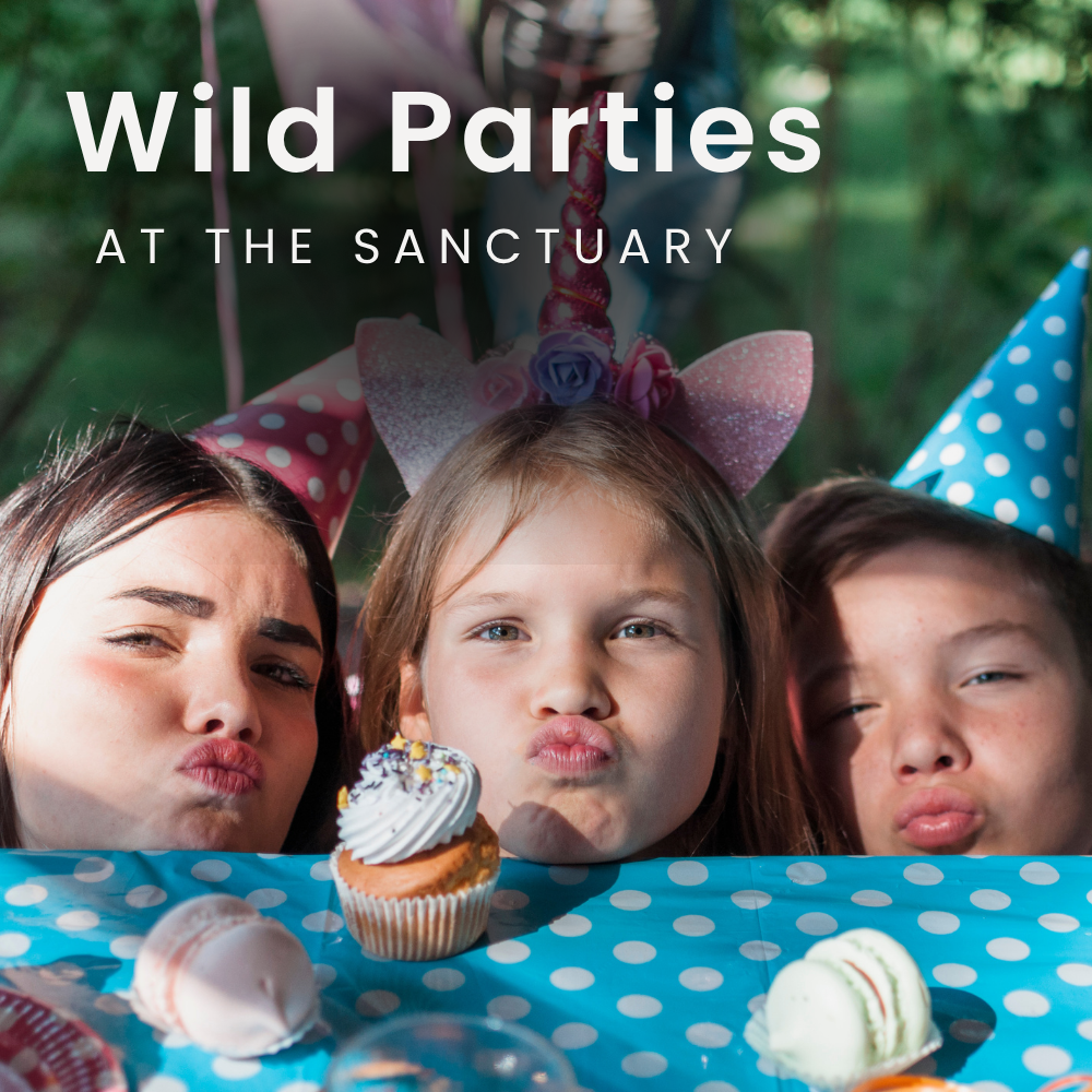 wildparties.png