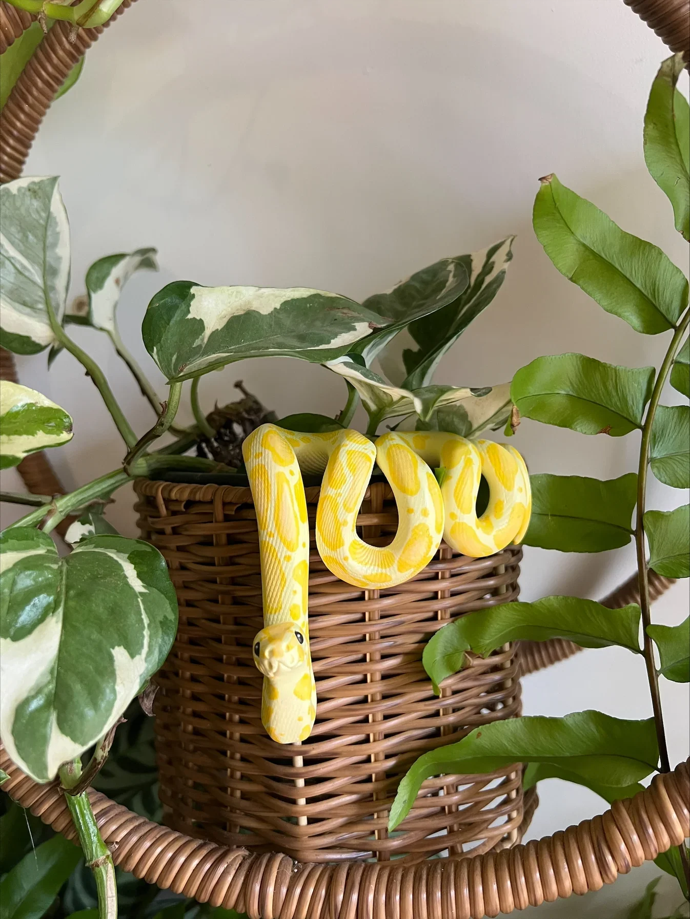 Yellow Ball Python, potted plant version - by Aesthetic Arts by Georgia