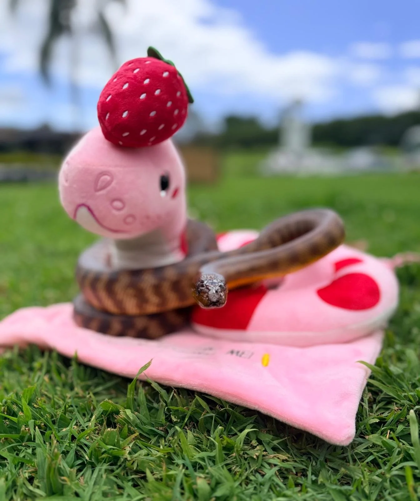 WhatsApp Image 2025-11-18 at 12.43.16 PM.jpeg