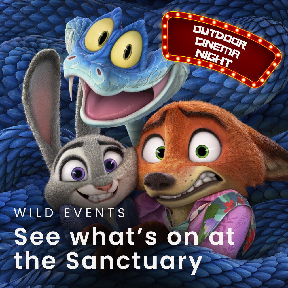 Parties (1).png